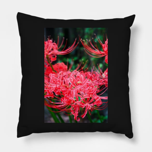 Red Spider Lily Pillow by RLan