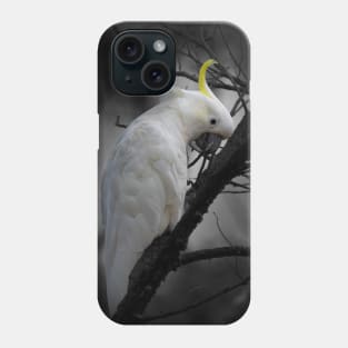 Sulphur-crested Cockatoo_3798A Phone Case