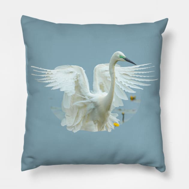 Great White Egret Landing! Pillow by dalyndigaital2@gmail.com