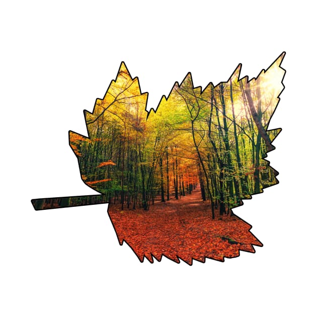 Maple Leaf Outline (Fall Colors) by gorff