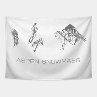 Aspen Snowmass Resorts Tapestry