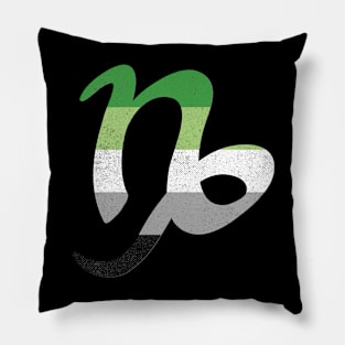 Aromantic Capricorn Pride Flag Zodiac Sign Pillow