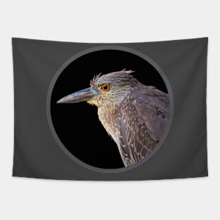 Black-crowned Night Heron Juvenile Tapestry