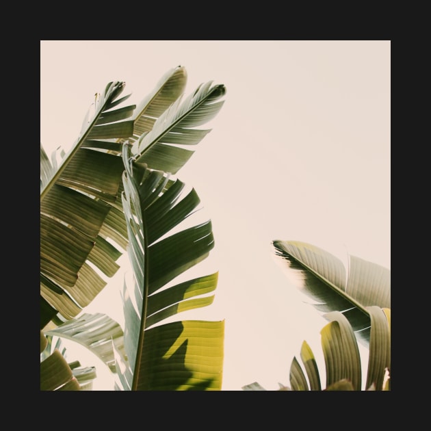 Vacation Mode - Modern Tropical Photograph by ALICIABOCK