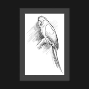 Ruby the Macaw Sketch T-Shirt