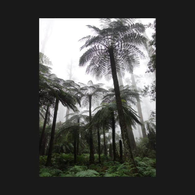 Misty Rainforest Ferns by Artstastic