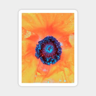 Light Orange Poppy - Centre of the Flower - Early Spring Blooms Magnet