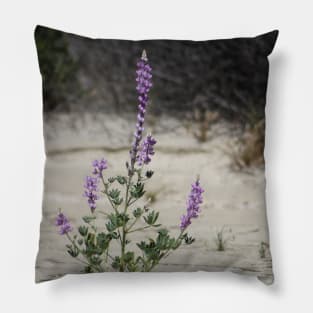 Purple Lupine in the Desert Oasis Pillow