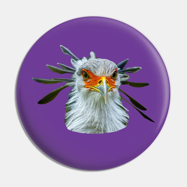 Regal Secretary Bird Pin by dalyndigaital2@gmail.com