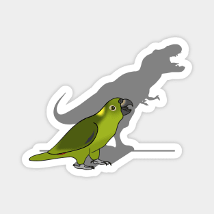 t-rex shadow - yellow naped amazon Magnet