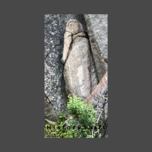 Bird in Stone Resembling Ancient Egyptian Goddess T-Shirt