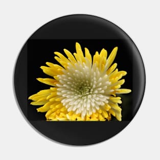 Yellow white Chrysanthemum Pin