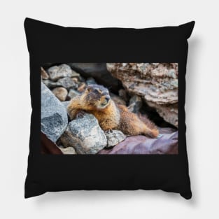 Marmot Pillow