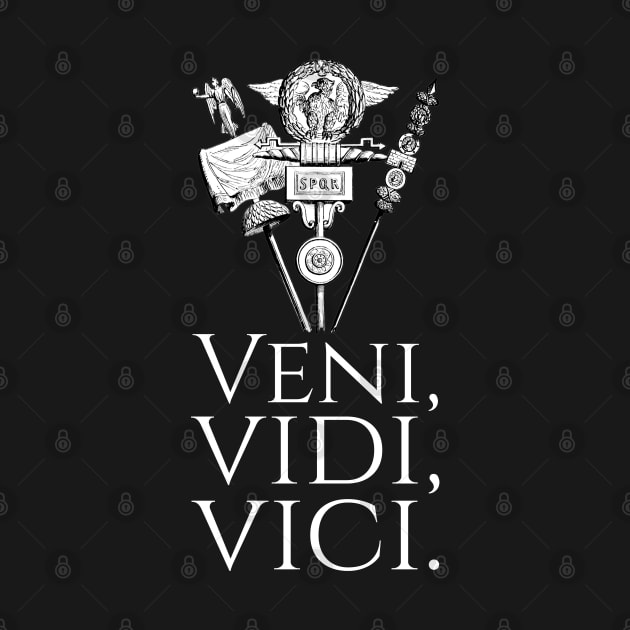 Ancient Rome Julius Caesar Latin Quote - Veni Vidi Vici by Styr Designs