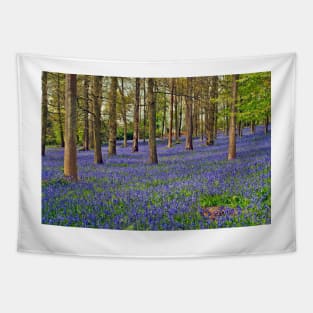 Bluebell Woods Greys Court Oxfordshire UK Tapestry