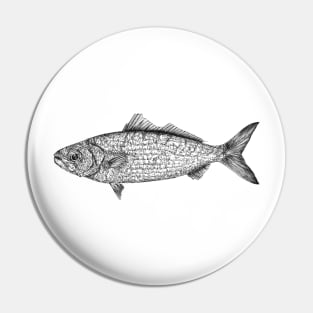 Fish scientific nature black ink pen drawing illustration Pin