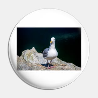 Sea Gull on Granville Island Pin