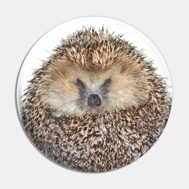 Hedgehog Portrait Pin by Alemi