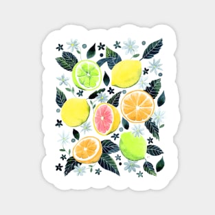 Assorted Watercolor Citrus Pattern - Green Magnet