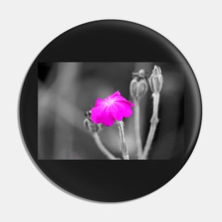 Magenta Flower Selective Color Photography Pin