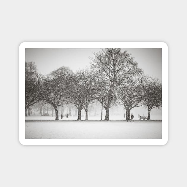 Blizzard in the park Magnet by Errne