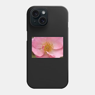 Vintage Rose Phone Case