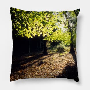 Spring Trees Pillow