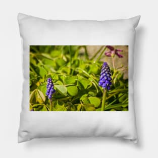 elb muscari Pillow