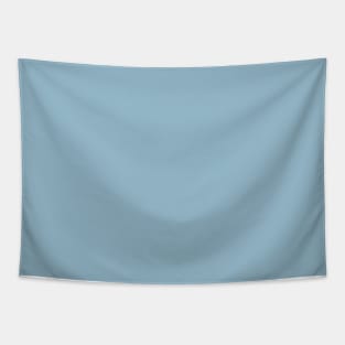 Solid Freeze Light Blue Gray Monochrome Minimal Design Tapestry