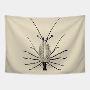 Lobster Larve Tapestry