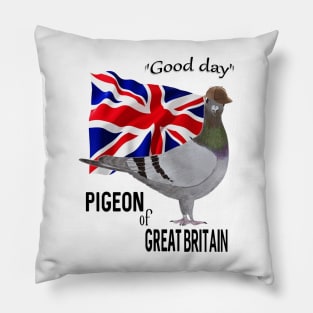 Pigeon of Great Britain Greeting Pillow