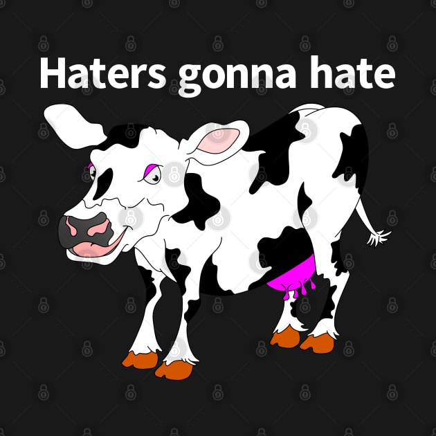 Haters Gonna Hate by mailboxdisco