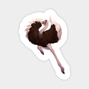 Ostrich Magnet