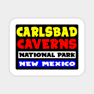 CARLSBAD CAVERNS NATIONAL PARK NEW MEXICO VINTAGE TRAVEL Magnet
