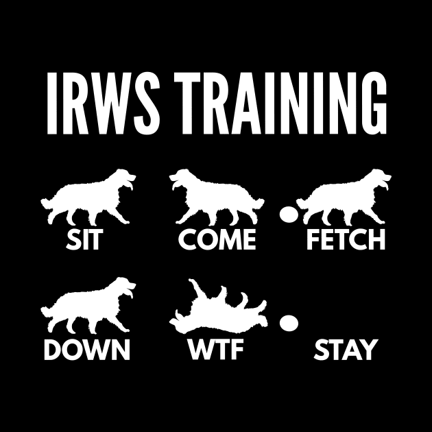 IWRS Training Irish Red and White Setter Tricks by DoggyStyles