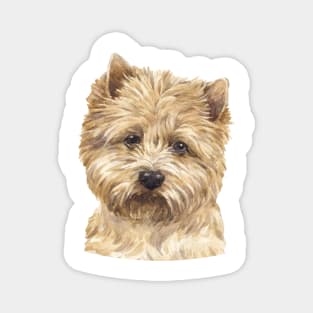 Cairn Terrier Watercolor Art Magnet