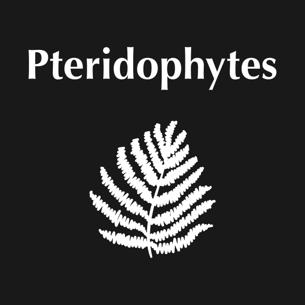 Pteridophytes by Science Design