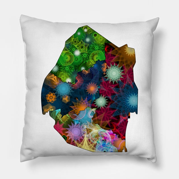 Spirograph Patterned Djibouti Regions Map Pillow by RachelEDesigns