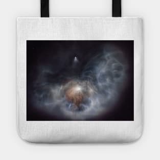 Lift off Tote