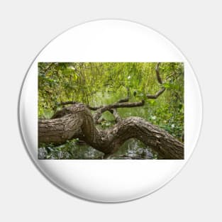 gnarled branches Pin