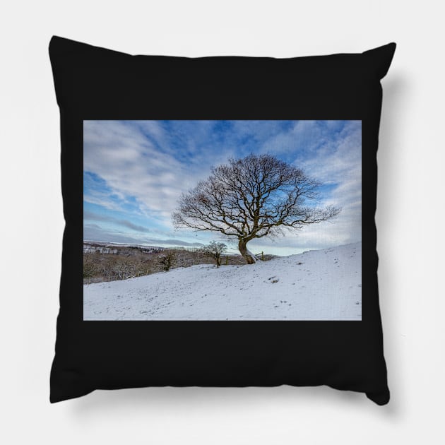 Muggleswick Tree Pillow by Reg-K-Atkinson