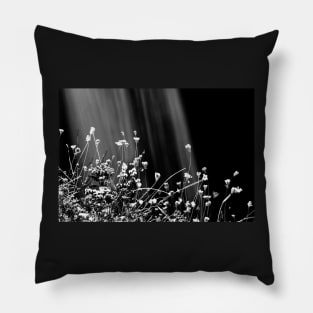 Waterfalls & Wildflowers Pillow