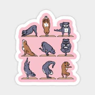 American Pit Bull Terrier Yoga Magnet