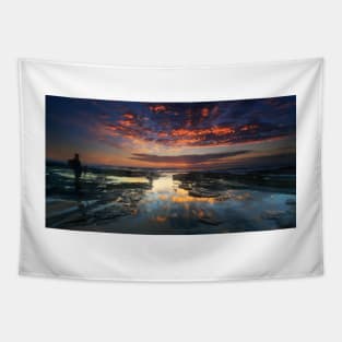 The landscape photographer Tapestry