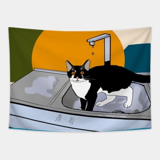 Cute Tuxedo cat Nelson playing with the water Copyright by TeAnne Tapestry