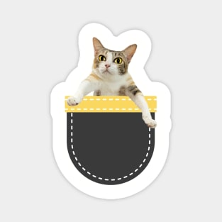 Calico Cat in Pocket Magnet