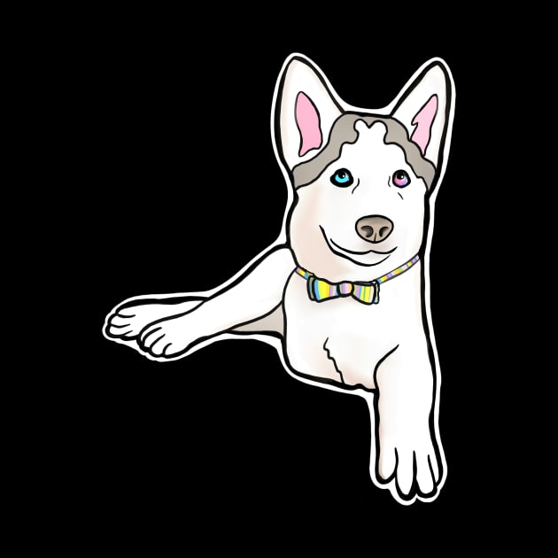 Adorable Three-Legged Tripod Husky Named Mochi with Rainbow Bow Tie by Mochi Merch