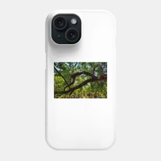 "Off The Beaten Path" Phone Case