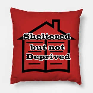 Sheltered but not deprived Pillow