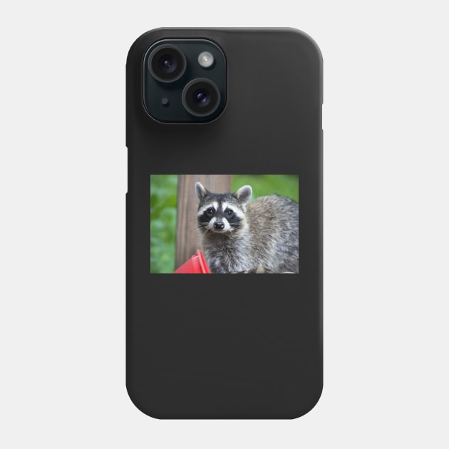 Sad Raccoon Print Phone Case by astonishingemma